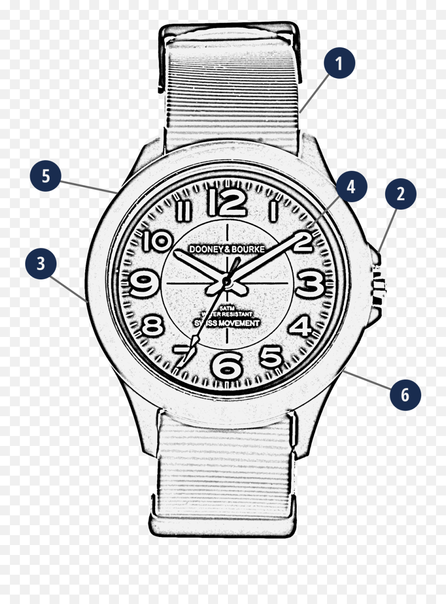 Dooney Bourke Watches Poppy Sport Watch - Solid Png,Pebble Dead Watch Icon