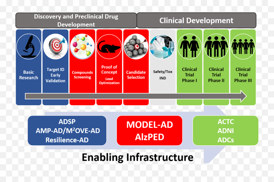 Nia Director Encourages Wider Use Of - Discovery To Preclinical To Clinical Png,Biomarker Icon