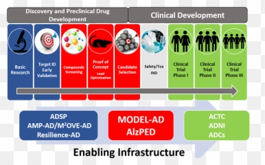 Nia Director Encourages Wider Use Of - Discovery To Preclinical Clinical png
