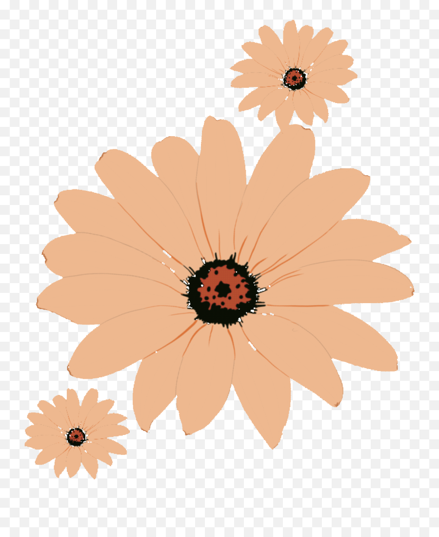Tag For Dancing Joindiaspora Animated Flowers - Girly Png,Ic_play Icon Andrio