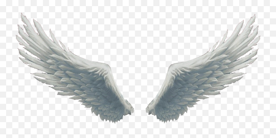 Wings Png Photo Background