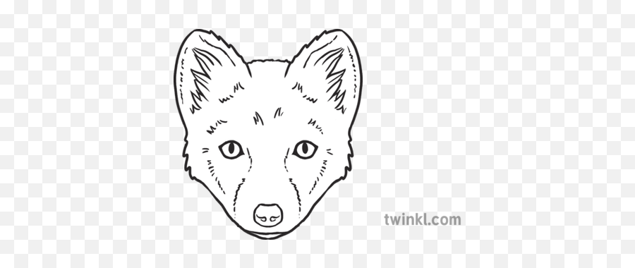 Arctic Fox Emoji Twinkl Newsroom Ks2 - Northern Breed Group Png,Arctic Fox Icon