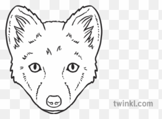 Arctic Fox Emoji Twinkl Newsroom Ks2 - Northern Breed Group png