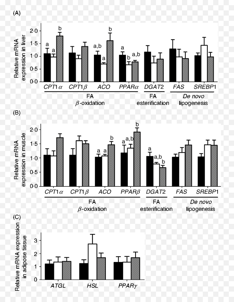 Functional Differences Between L - And Dcarnitine In Statistical Graphics Png,Dropbox Gray Minus Icon