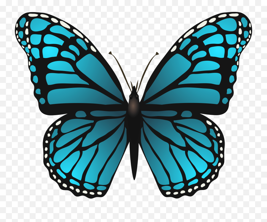 Library Of Blue Butterfly Clipart - Blue Butterfly Clipart Png,Blue Butterflies Png
