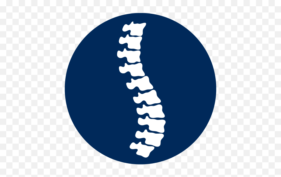 Center For Musculoskeletal Disorders Queens Manhattan - Orthopedic Spine Icon Png,Icon Kerasotes Secaucus