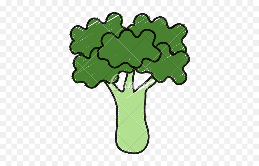 Broccoli Fresh Vegetable Icon Icons By Canva - Vegetable Fresh Png,Vegetables Icon