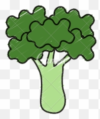 Broccoli Fresh Vegetable Icon Icons By Canva - png