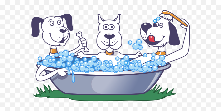 Home Community Bark - Dog Wash And Dog Groomer Community Bark Logo Png,Barking Dog Icon