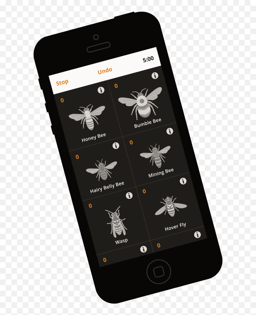 Insight Citizen Science U2013 The Mobile App That Lets Citizens - Insight Citizen Science App Png,Hoverfly Icon