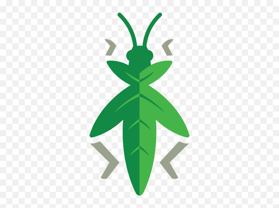 Content Grasshopper - Canberra Marketing Services Grasshopper Logo Png,Grasshopper Png