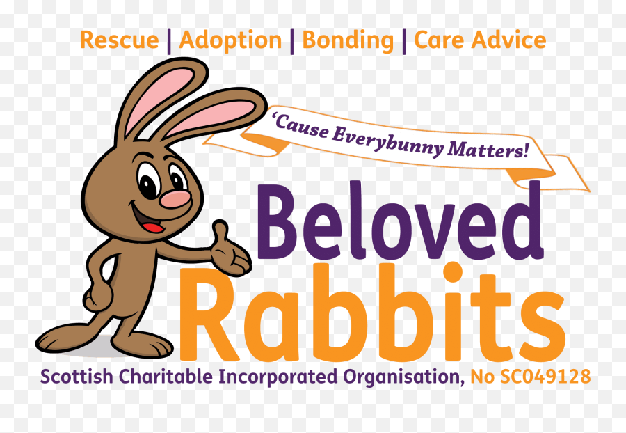 Beloved Rabbits - Rabbit And Volunteer Png,Rabbit Logo