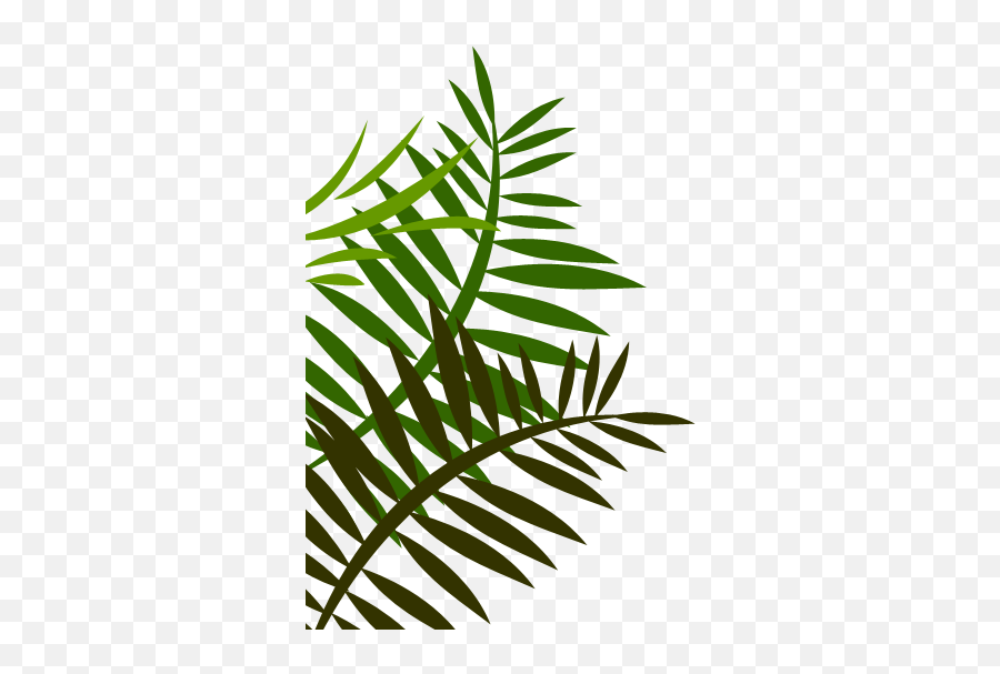 Download Hd Jungle Leaves Png Image - Easy Simple Bottle Art,Jungle Leaves Png