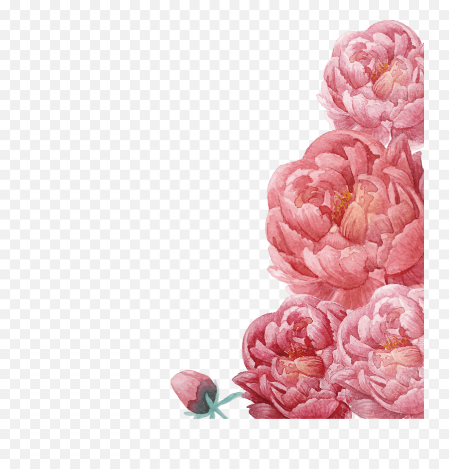 Flower Frame Png Image Free Download - Clip Art Peonies Flowers,Flower Frame Png