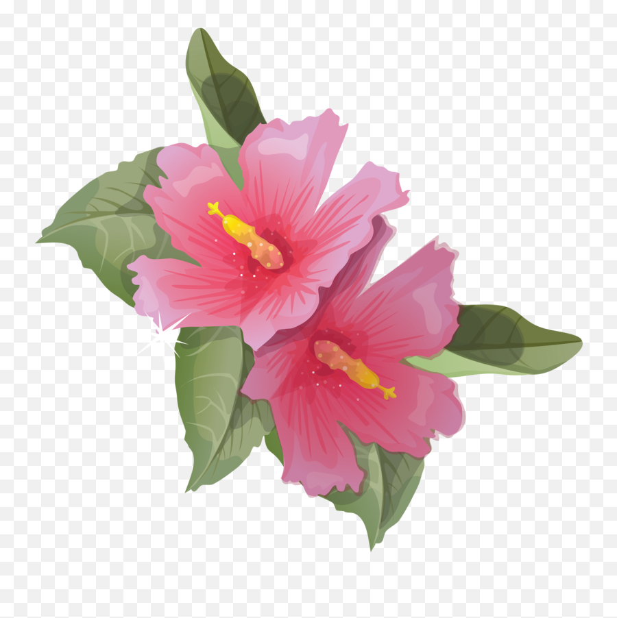 Hibiscus Animation Flower Clip Art - Animated Flowers Images Transparent Png,Hibiscus Png