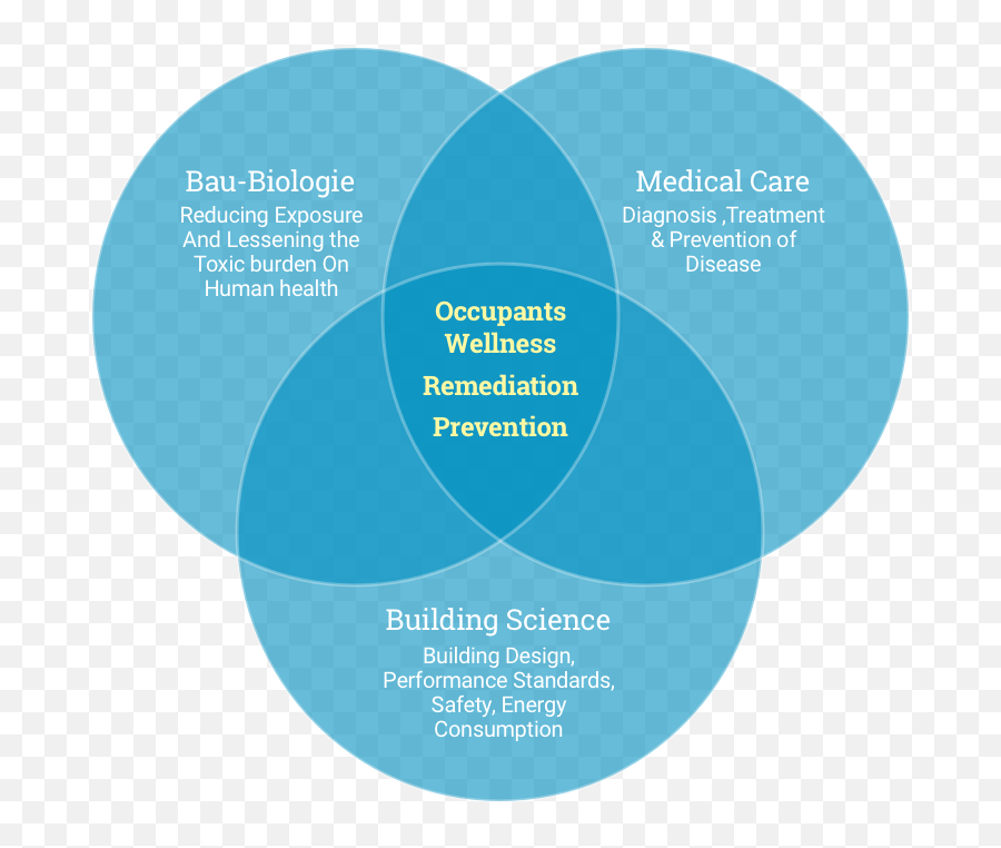 Venn - Diagram Mead Indoor Png,Venn Diagram Png