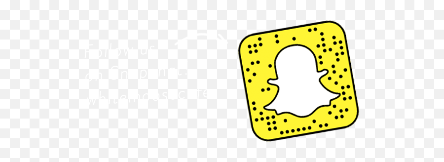Snapchat U2013 Whitemoose Cafe - Animal Filters On Snapchat Codes Png,Snap Chat Png