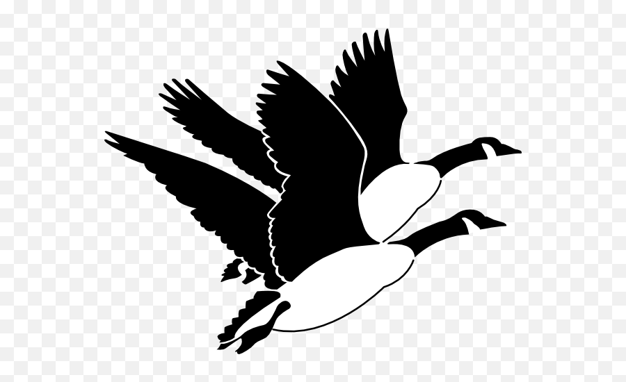 Geese Clip Art - Moose Cree First Nation Png,Geese Png