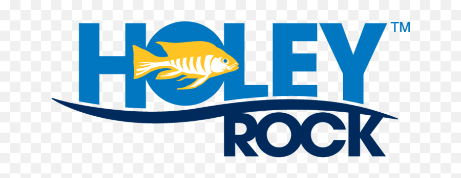 Fish Tank Setup New Guide U2013 Holey Rock Llc - Coral Reef Fish Png,Fish Bowl Transparent Background