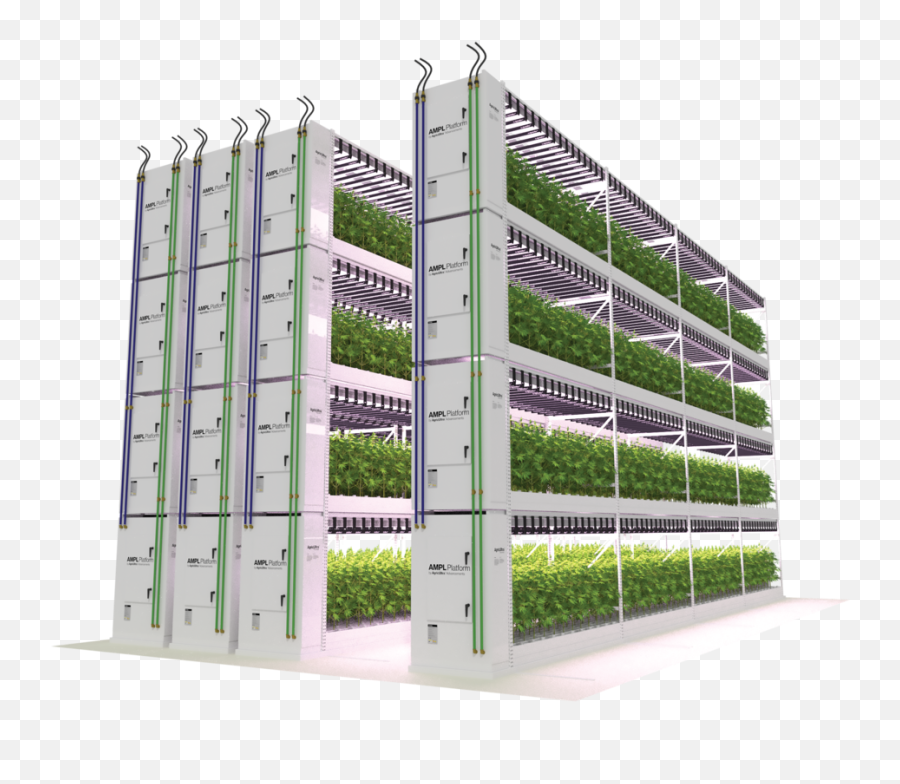 The Ampl Platform U2014 Agricultra Advancements - Vertical Png,Growing Plant Png