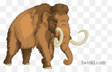 Woolly Mammoth Geography History Extinct Animals Secondary - Big Png,Mammoth Png