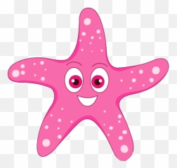 Starfish H U0026 L Swim Academy - Echinoderms Clipart Png,Starfish Png