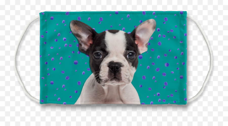 Boston Terrier Puppy Teal Sublimation Face Mask - Mat Png,Boston Terrier Png