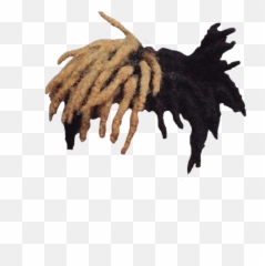 Xxxtentacion Hair - Png