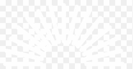 Government Tailored Solutions That Deliver Tangible Impacts - Transparent Lyft Logo White png