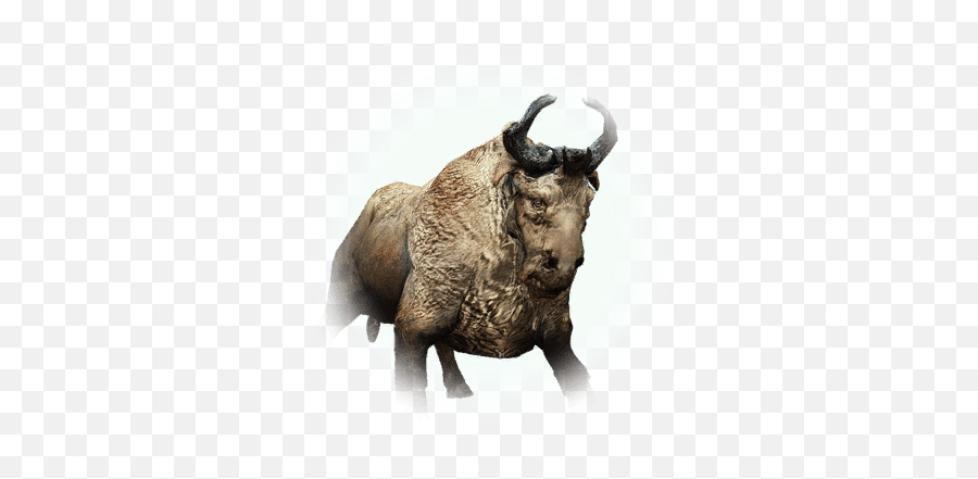 Bdo Bison Bddatabasenetusnpc520 - Bull Png,Bison Icon