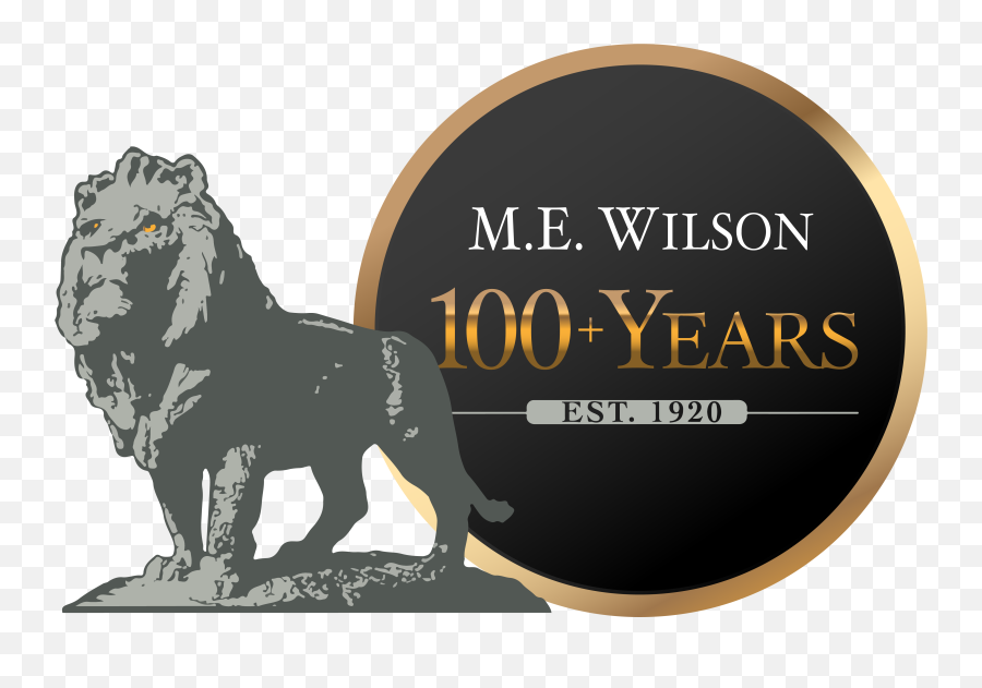 Home - Me Wilson Png,Mgm Icon
