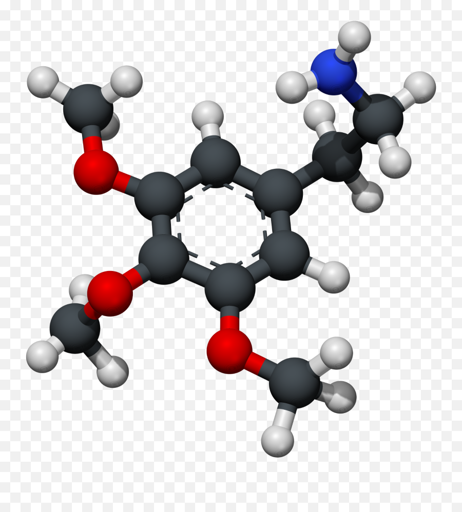 Filemescaline - 3dxrayballstickpng Wikipedia Molecule,X Ray Png