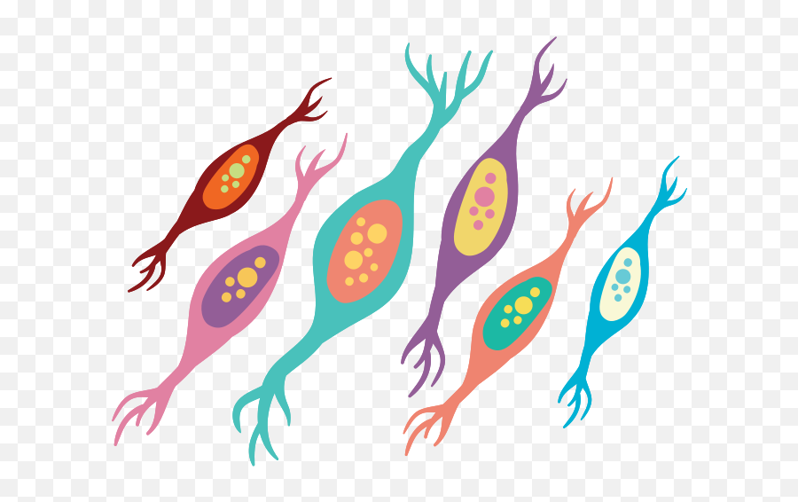 Free Neuron 1201283 Png With Transparent Background - Neurons Icons,Neuron Icon