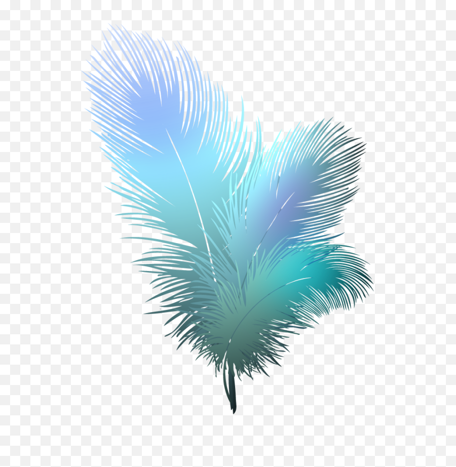 Png Clipart Transparent Background 2 - Transparent Background Feathers,????? Png