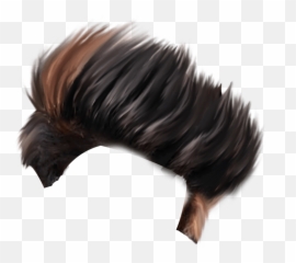 Download Png Hair Style Photo - Cb Background Full Hd,Brown Hair Png