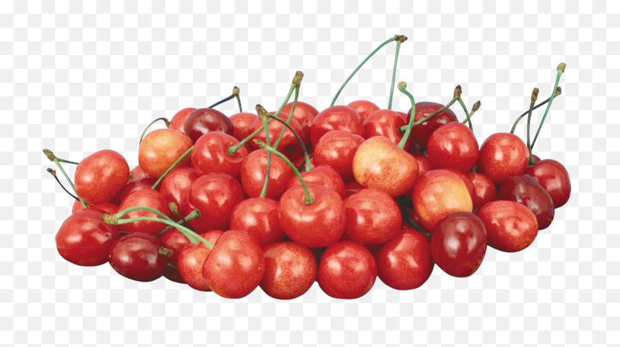 Cherries Png - Cherries Acerola Cherries Png 153257,Cherries Png