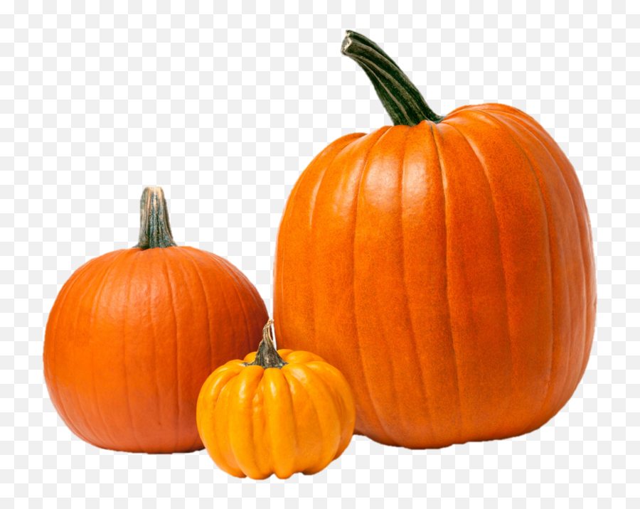 Products U2014 Cornerstone Produce Group - Large Pumpkin And Small Pumpkin Png,Squash Png