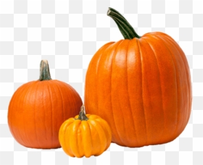 Products U2014 Cornerstone Produce Group - Large Pumpkin And Small Pumpkin Png,Squash Png
