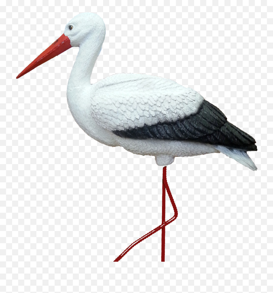 Stork Png - Png,Stork Png