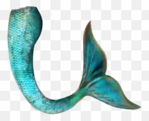 Clipcookdiarynet - Mermaid Tail Clipart transparent Transparent Background png