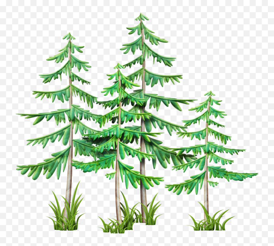 Evergreen Branch Png - Clip Art Camping Stuff Branches Mountain Pine Tree Clip Art,Mountains Clipart Transparent Background