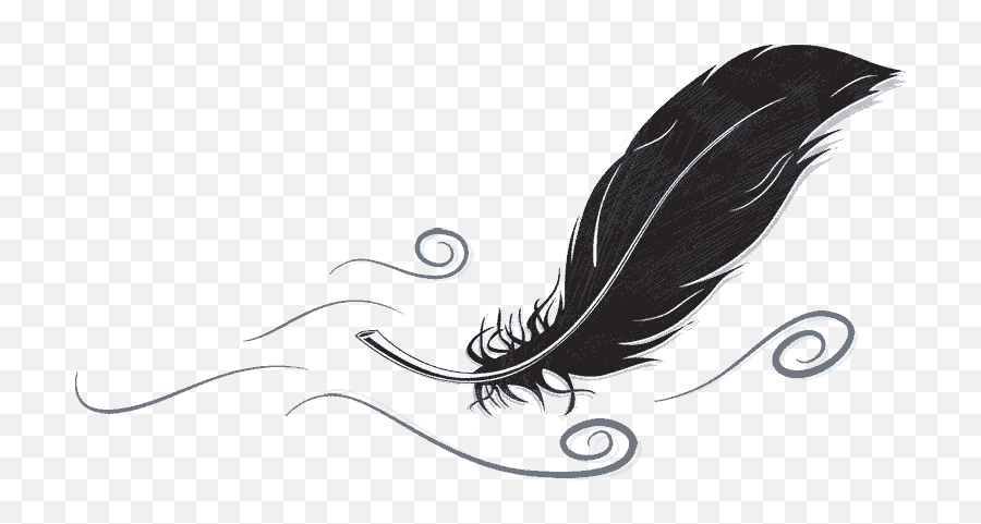 All About Feathers - Illustration Png,Feathers Transparent