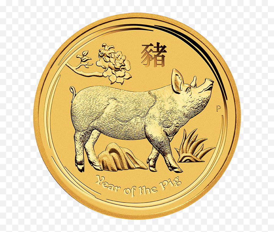 Chinese New Year 2019 Png Transparent 2 Image - Year Of The Dog Gold Coin,New Years Transparent