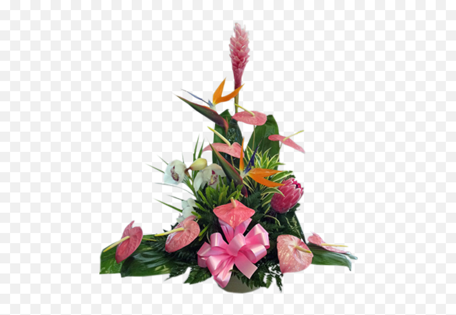 Tropical Island - Floral Png,Tropical Flower Png