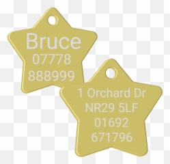 Pet Id Name Tag - Gold Star Premium Pet Tags Png,Name Tag Png