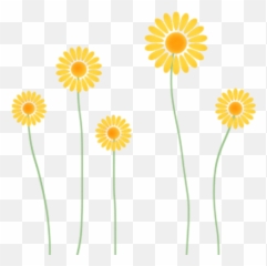 Imagenes Pocoyo Png U2013 Mega Idea - Porte Clef Cuir Fait Main,Girasol Png