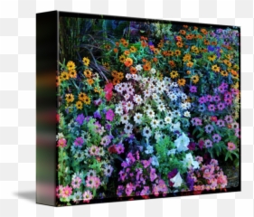 Flowerbed Scratch Texture By Elizabeth Mix - Art Paint png
