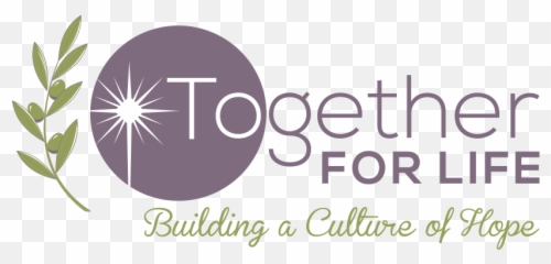 Together For Life Northland - Star of Maternity Home Olive Branch png