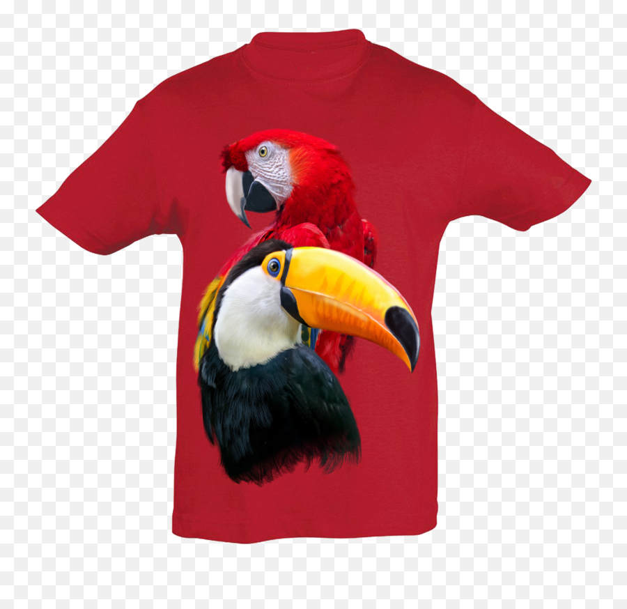 Download Parrot U0026 Tucan T - Shirt Kids Toucan Png Image With,Toucan Png