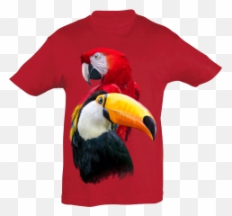 Download Parrot U0026 Tucan T - Shirt Kids Toucan Png Image With,Toucan Png